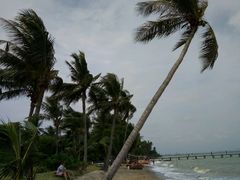 -椰树岛海滩度假村