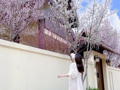 -郑州银基黄帝宫御温泉