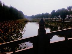 -白洋淀景区