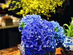 -上饍·中国厨房(建发JFC品尚中心店)