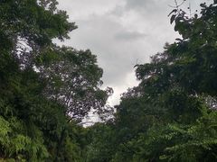 -桃花涧