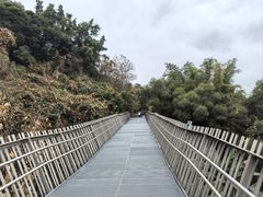 -福道