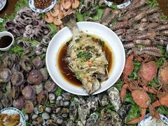 -渔家小院观海海肠捞饭地方菜(环海中路店)