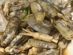 -金海湾海鲜排档(朱家尖店)