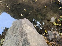 -黑龙潭风景区