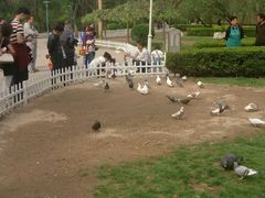 android_upload_pic-迎泽公园