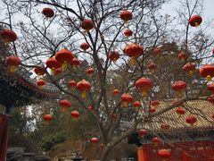 -香山公园