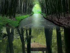 -同里国家湿地公园