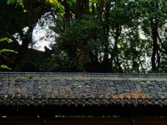 -绳金塔