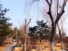 -燕郊植物园
