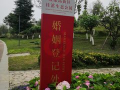 -桂溪生态公园