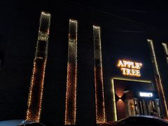 -苹果树下艺术餐厅(通州店)