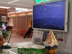 -Salud撒露欧洲冻酸奶(五道口购物中心店)