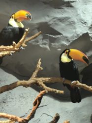 -Zoolung Zoolung动物主题公园(海信广场店)