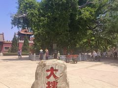 -大槐树寻根祭祖园