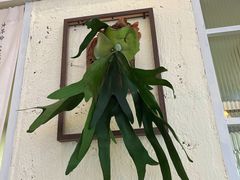 -绿小院(荔湾店)