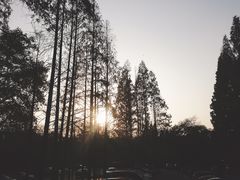 -T80科技文化国际社区-停车场