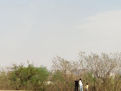 -汉长安城未央宫国家考古遗址公园