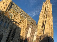 -斯蒂芬主教座堂(Stephansdom)