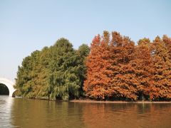 -上海海湾国家森林公园