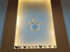 -乐派堂宠物医院·猫友好· 心脏科(东街店)