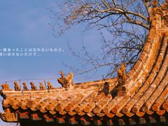 -东华门大街小区