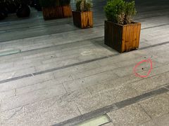-北京索菲特大酒店