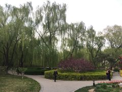 -玲珑塔公园