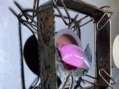 -肖四女乐山跷脚牛肉(江北星街坊店)