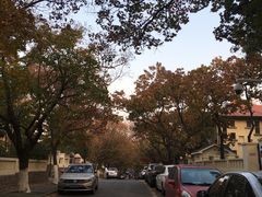 -八大关景区