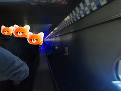 -白鹤梁水下博物馆