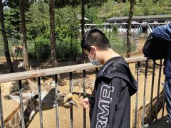 -大连森林动物园