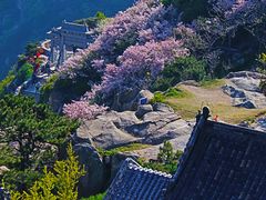-泰山风景名胜区