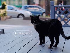 -舊新事咖啡NOTHING NEW COFFEE