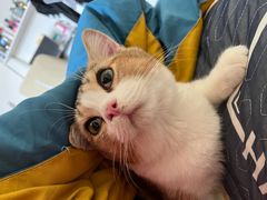 -宠物梦想家(日月豪庭店)