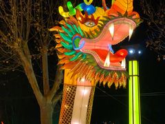 -青龙湖公园