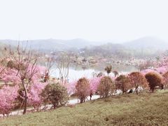 -南山风景名胜区