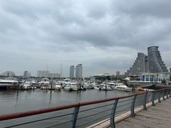 -日照世帆赛基地