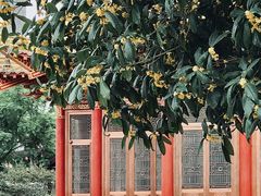 -龙潭水乡