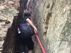 -天女山森林公园