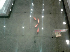android_upload_pic-豆花酒楼·三十八年匠心(秦皇东大街店)