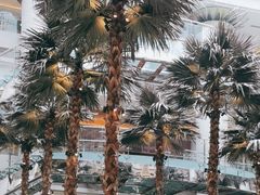 -威斯汀舞台餐厅