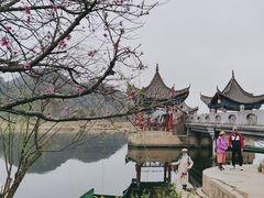 -普者黑风景区-青龙山