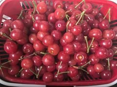 -樱桃山旅游景区