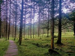-硗碛藏寨·神木垒景区
