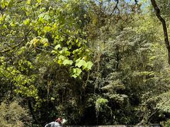 -西岭雪山大飞水景区