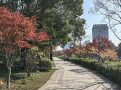 -枫桥景区