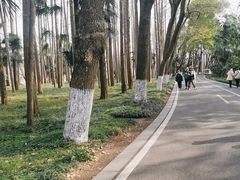 -采石矶景区