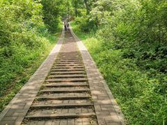 -青龙山国家森林公园