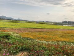 -光明小镇欢乐田园